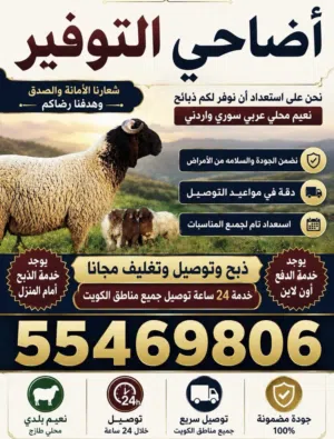 اضاحي التوفير عربي نعيمي محلي نعيمي سوري شي طيب وراهي  خدمة توصيل مجاني اضحية مستوفية كامله الشروط