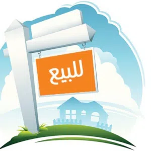 أبو الأسد 