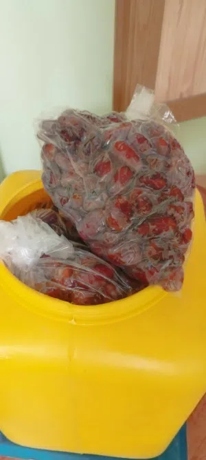 حاتم العميري 