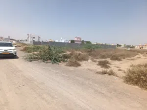 ارض للبيع ولاية السويق خضراء بورشيد المرحلة الخامسه