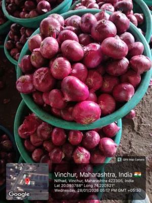 افضل الأنواع