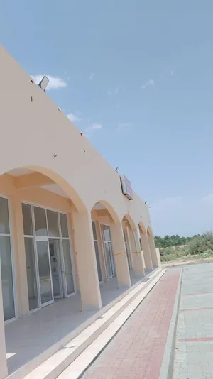 ‏650 م٢ ‏.‏ المالك‏1