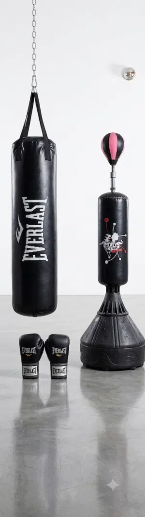 طقم ملاكمة كامل Everlast + Stiffone