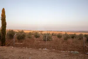 Farm Land for Sale in Amman Naour
