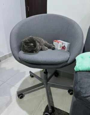 Ikea Office Chair