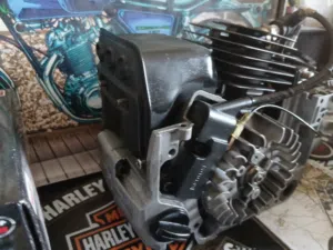Only 20BHD mini 2 stroke engine 58cc