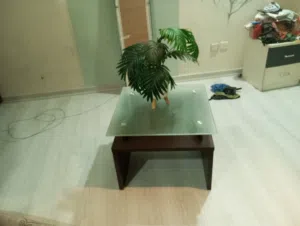 tempered glass top side table with places to store nearly brand new