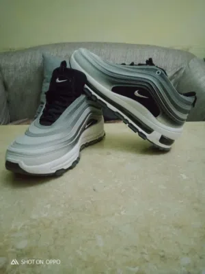 كوتش الاوريو