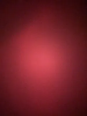 نتدتت تارو
