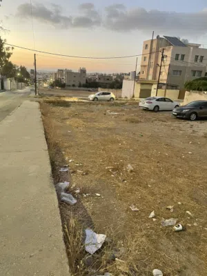 Mixed Use Land for Sale in Irbid Hay Al Qaselah