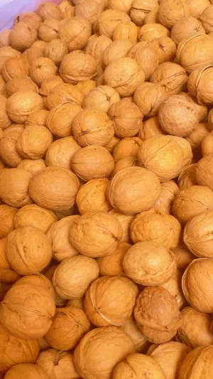 جوز غير داعم