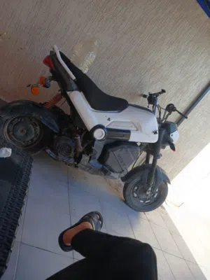 هوندا نافي للبيع او للتبديل