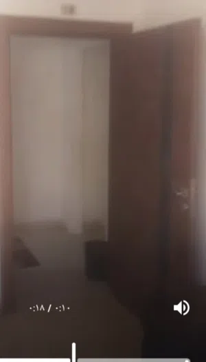 بابين خشب مع حلوقهم و باب حمايه حديد بدون حلق كلهم ب100 دينار