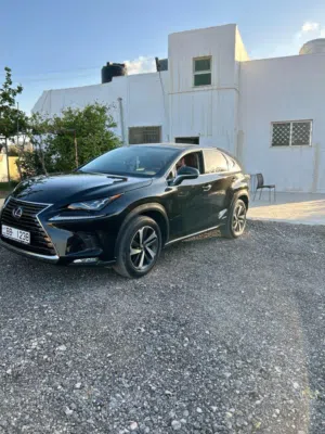 Used Lexus NX in Amman