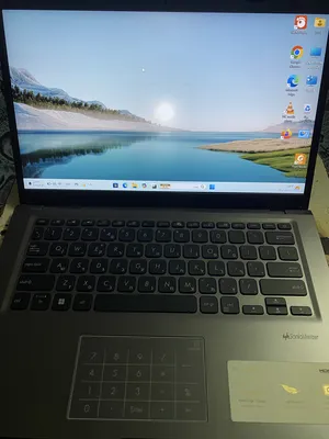 Asus . Windows . 13"4
