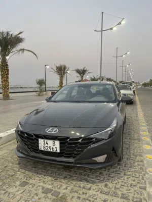 النترا2023