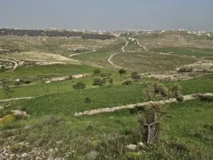 مرزعه للبيع 10 دونمات