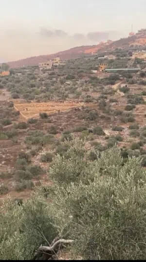 Mixed Use Land for Sale in Tulkarm Bal'a