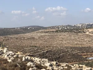 Mixed Use . 25 donum . Landlord3