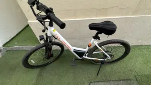 E-bike kungoo