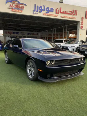 Used Dodge Challenger in Ajman