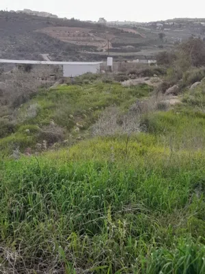 ارض مساحه اكثر من 2 دونم امكانيه تقسيط وامكانيه دفعه وشكات بدايه