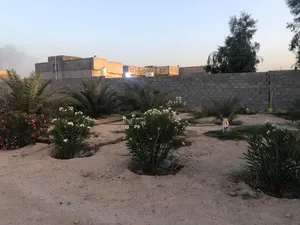 Farm Land for Rent in Basra Zubayr
