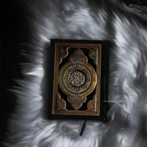 شوب 