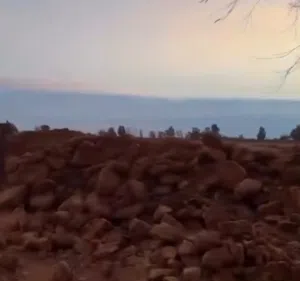 محمد 