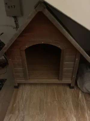بيت كلب dog house
