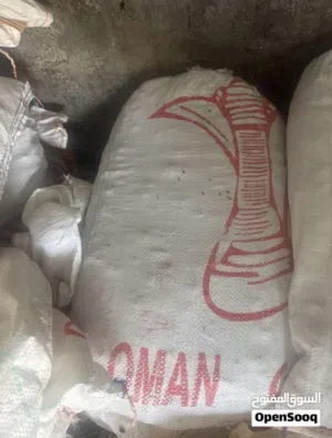 سح للغنم للبيع