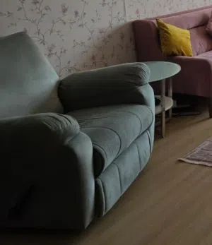 Backcare Comfort Chair or Sofa used 2 months time