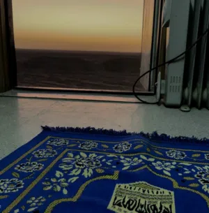 نور الدين السيد 