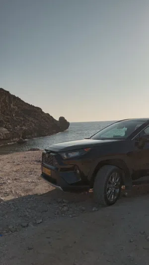 Rav4 Limited 19 