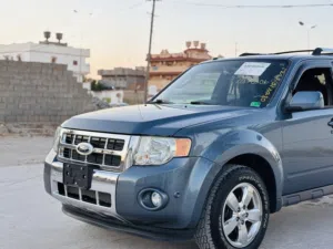 فورد لسكايب 2012