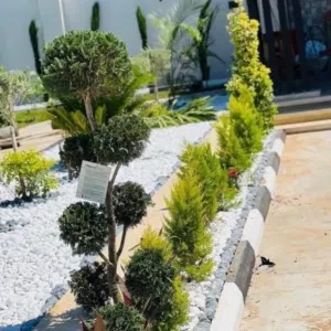 ًًًحسام 