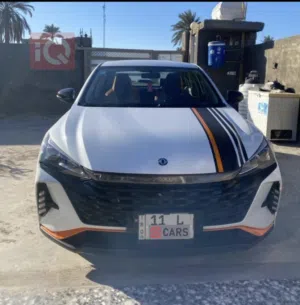 دونغ فينك شاين