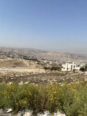 Residential Land for Sale in Amman Safut