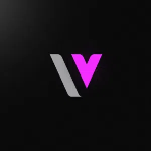 V1 STORE 