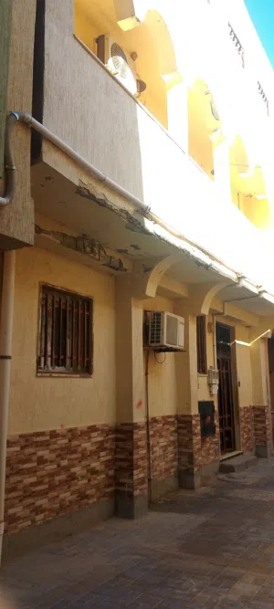 عبدالنور.  ولا
