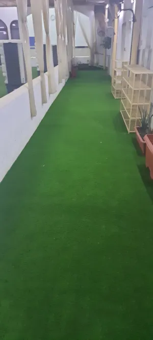 العشب الصناعي  اهلا وسهلا بالجميع في عالم العشب الصناعي بجميع انواعه والوانه موقعنا بالخوير