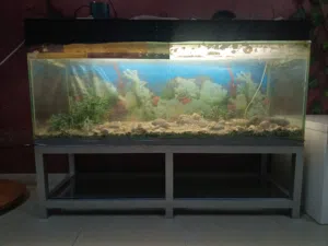 حوض سمك كبير مع قاعدة ألمينيوم