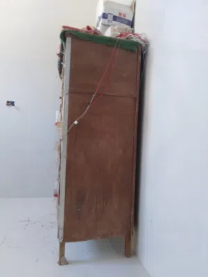 سجنه عصفر الزبرة