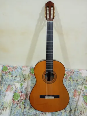 Guitars & Oud . Used1