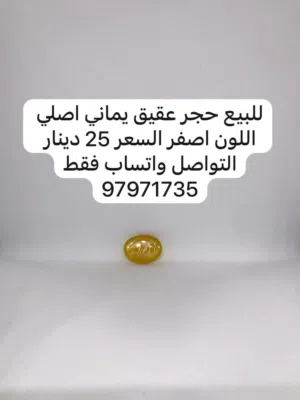 التواصل واتساب