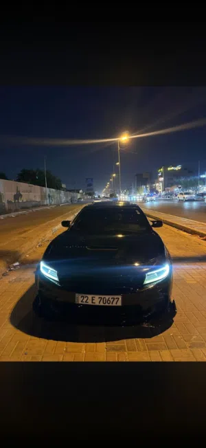 جارجر سكات باك