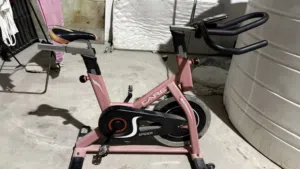 CARES Spider 22 Exercise Bike – Good Condition (Second Hand)