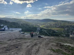 Residential Land for Sale in Zarqa Sarout