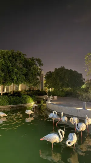 سرير اطفال