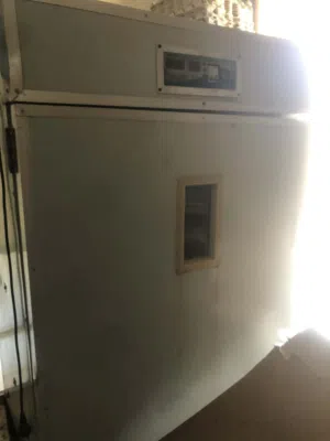 حضانه فل توماتك
